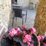 Harmonia Wellness Szilvásvárad