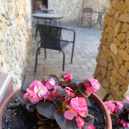 Harmonia Wellness Szilvásvárad