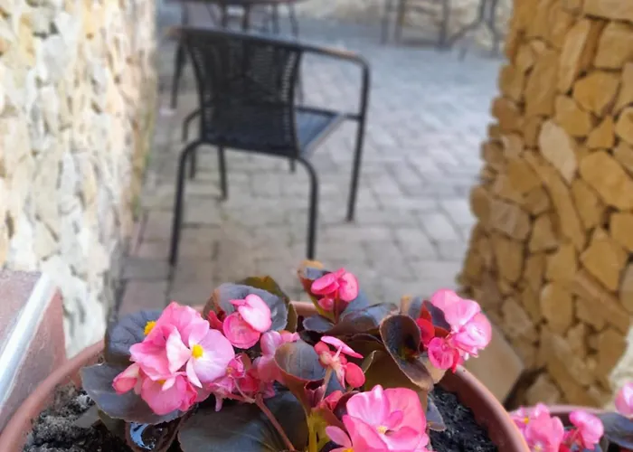 Harmonia Wellness Szilvásvárad